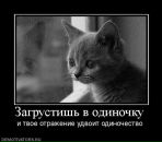 Фотография Галина Манякова