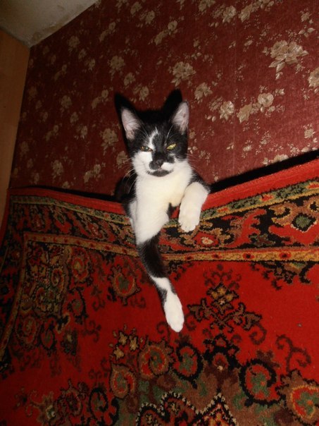 Яна Креузова | Санкт-Петербург