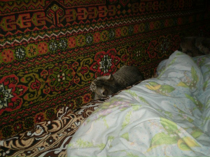 Таня Попова | Хрустальный / Красный Луч