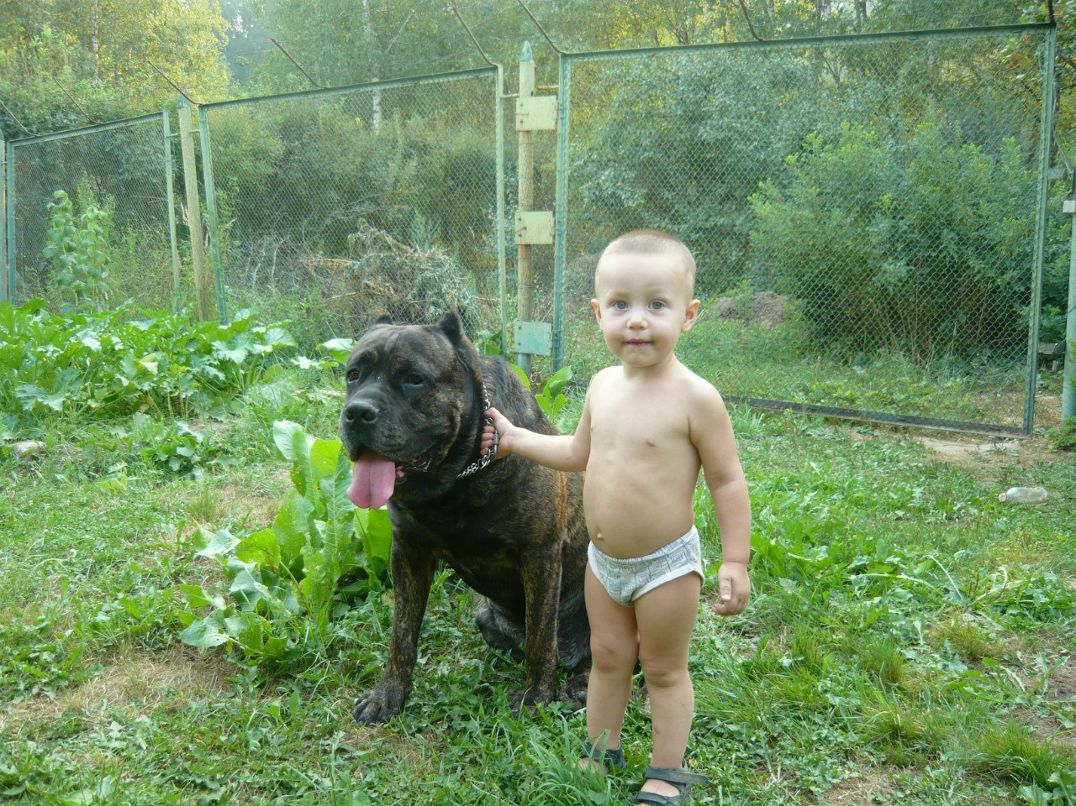 Андрей Мангуст Мангуст | Москва