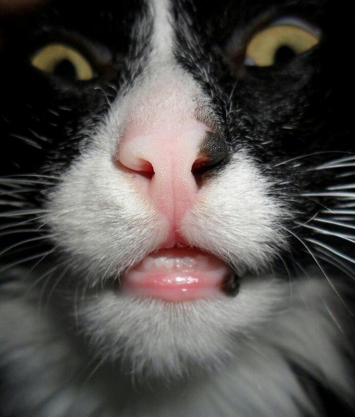 Жания Темирбекова | Омск