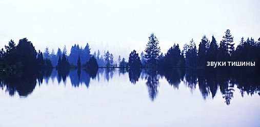 Елена Москвина | Ухта