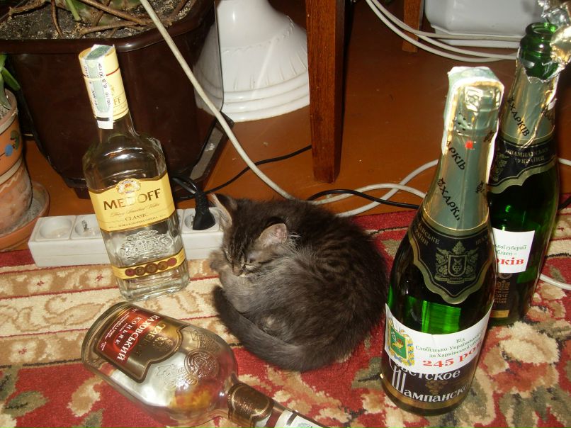 Виктория Терещенко | Харьков