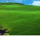 №12, Елена Иванова №12, Елена Иванова