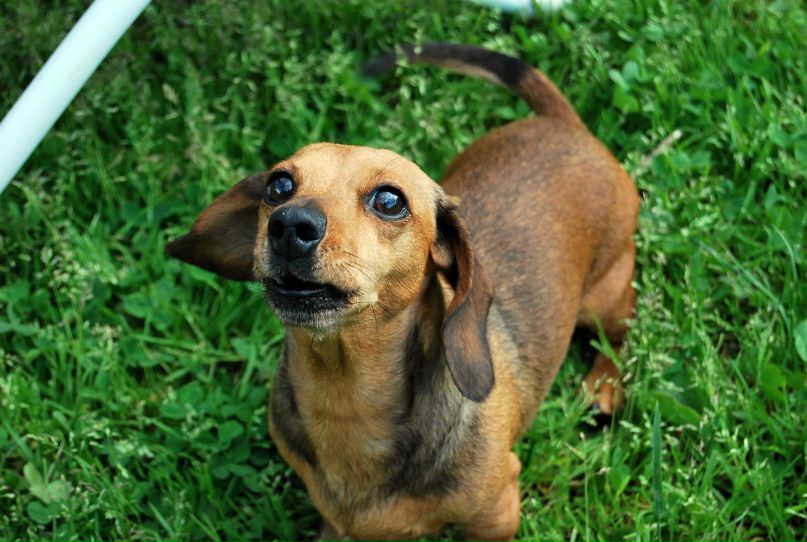 Алла Ефимова | Санкт-Петербург