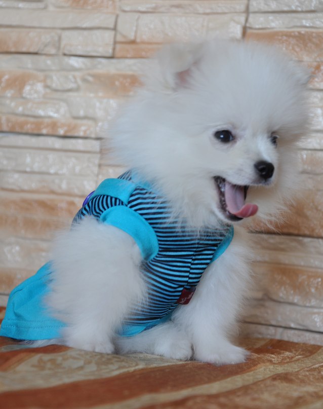 Наталья Поваляева | Донецк