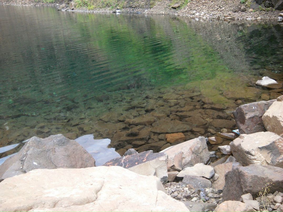 Наталья Киселёва | Томск