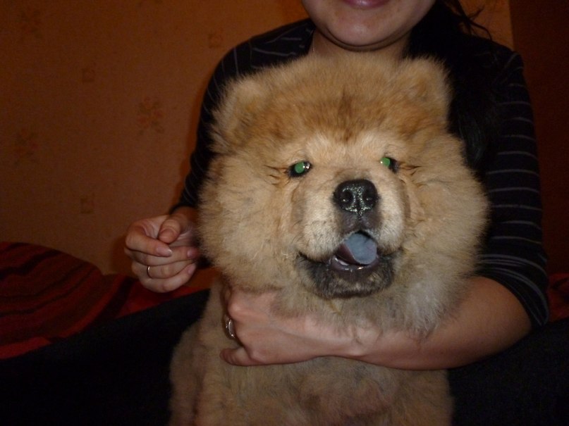 Асем Талыспаева | Алматы