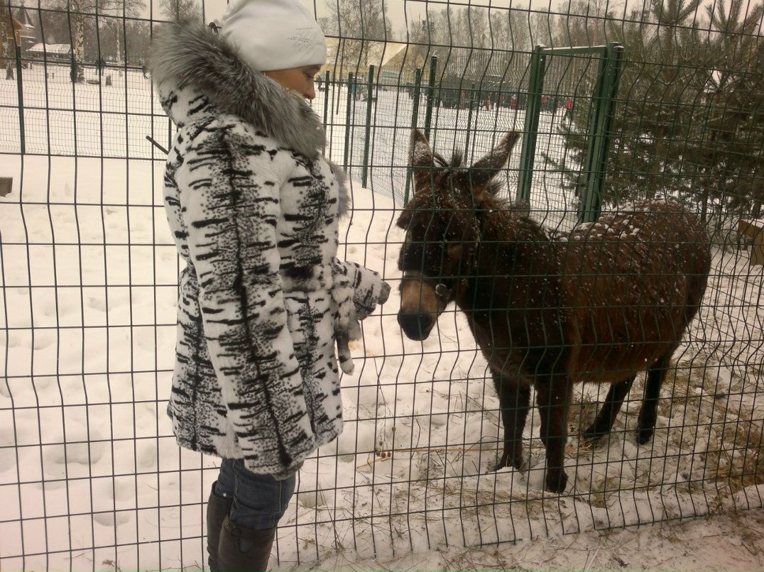 Алёнушка Сысоюшка | Санкт-Петербург