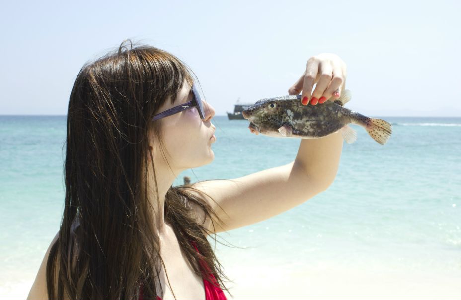 №51, Ксения Вовк, Краснодар №51, Ксения Вовк, Краснодар