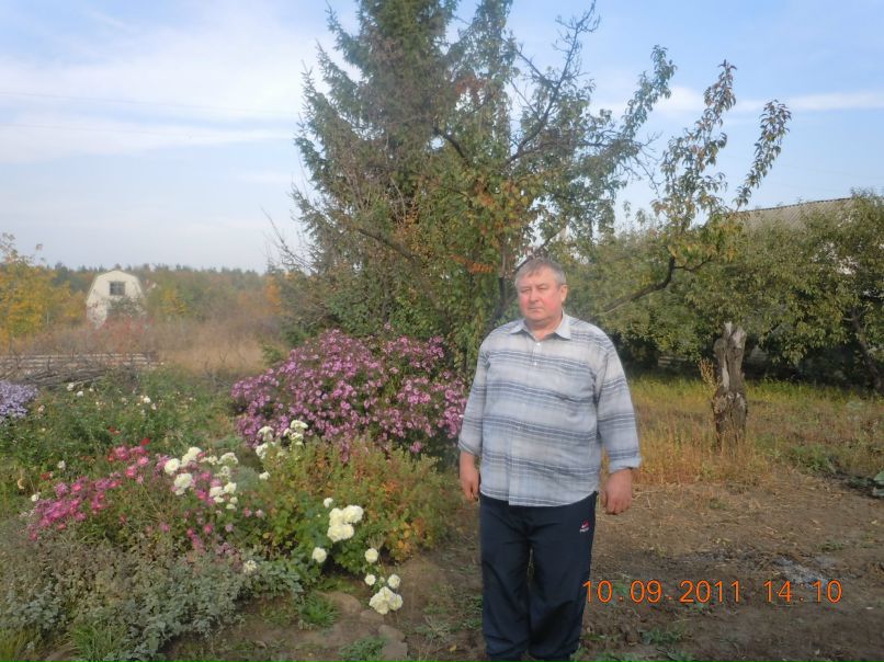 Numigri Numigri | Москва