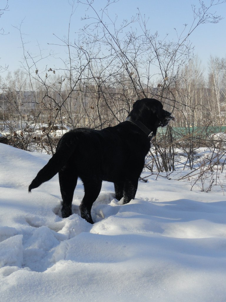 Ольга Серебрякова | Шимановск