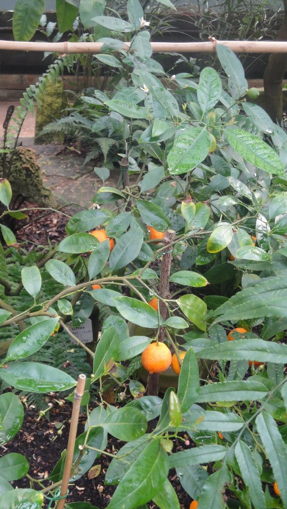 Юля Машкова | Волжский