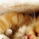 №48, Виталина Мач, Харьков №48, Виталина Мач, Харьков