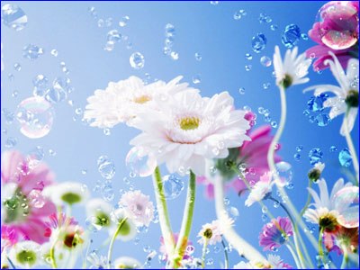 Екатерина Галайкина | Уфа