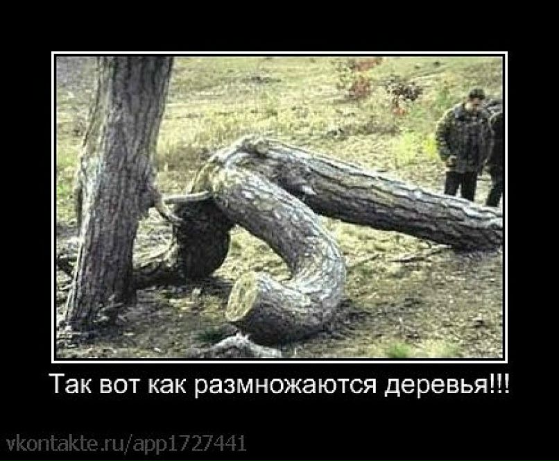 Артем Пичугин | Николаев