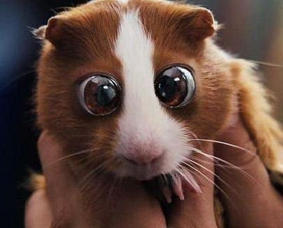 Серёга Якимчук | Малин