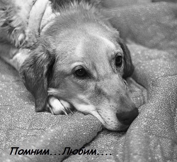 №95, Лера Козлова, 38 лет, Москва №95, Лера Козлова, 38 лет, Москва