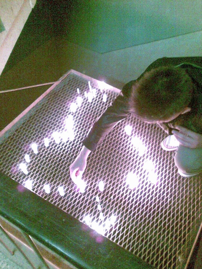 Саня Кучеренко | New York City