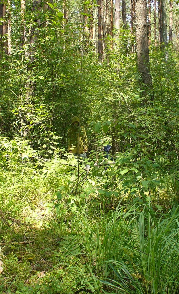 Сергей Иваненко | 