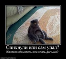 Фотография Георгиади Георгия