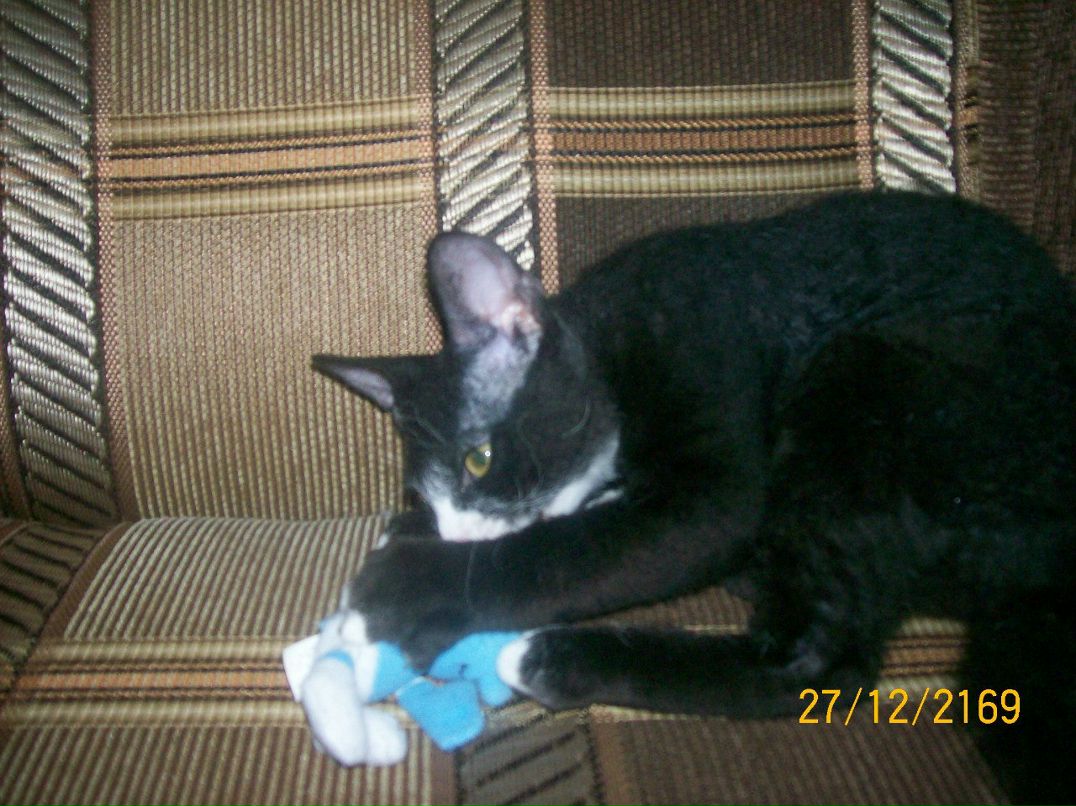 Александра Крепкая ˜”*°• ⎛★ ⎝⏜⏝ ⏜⎠★⎞ .•°*”˜ | Киев