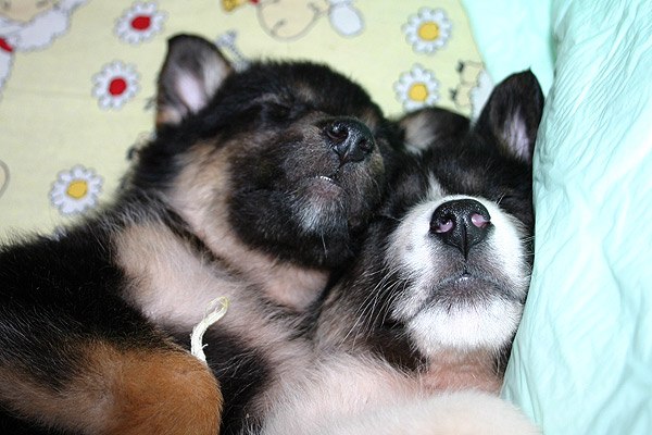 Всеволод Самарцев | Москва