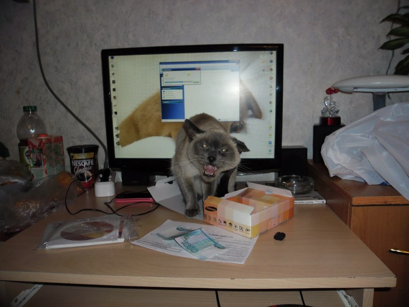 Евгений Зверев | Грязи