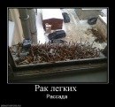 Фотография Виктор Бедушный-Змей