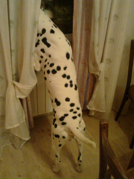 №6, Anya Ivanovskaya, 35 лет, Санкт-Петербург №6, Anya Ivanovskaya, 35 лет, Санкт-Петербург