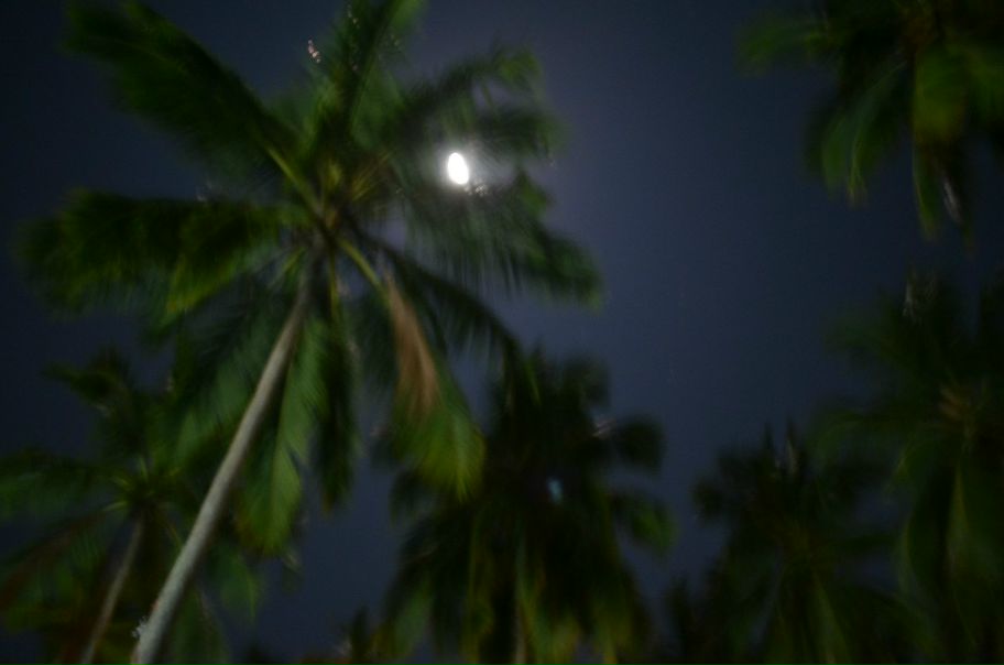 №5, Юля Ласкина, 44 года, Донецк №5, Юля Ласкина, 44 года, Донецк