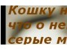 Марина Федина | Чапаевск