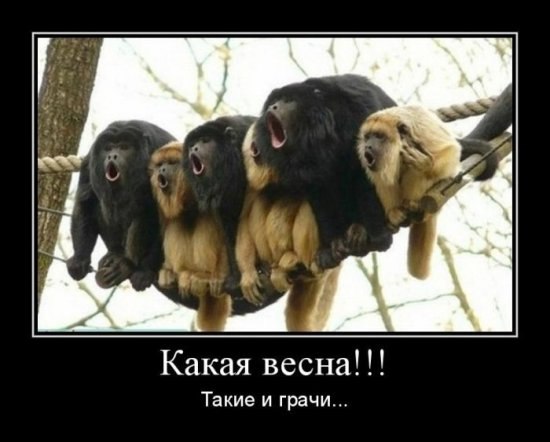 Виталий Залюбовский | Жешарт