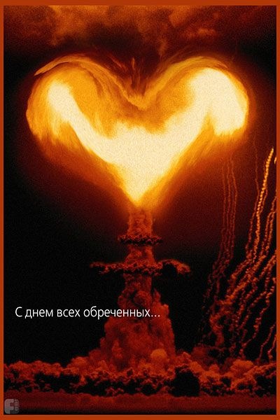 №18, Саня Бовкун, 38 лет, Киев №18, Саня Бовкун, 38 лет, Киев