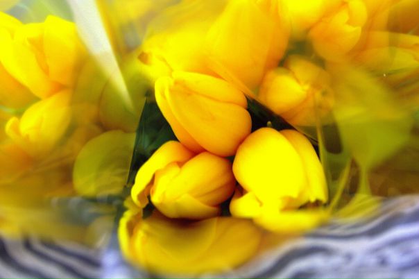 №128, Алёна Ковальчук, 35 лет, Киев №128, Алёна Ковальчук, 35 лет, Киев