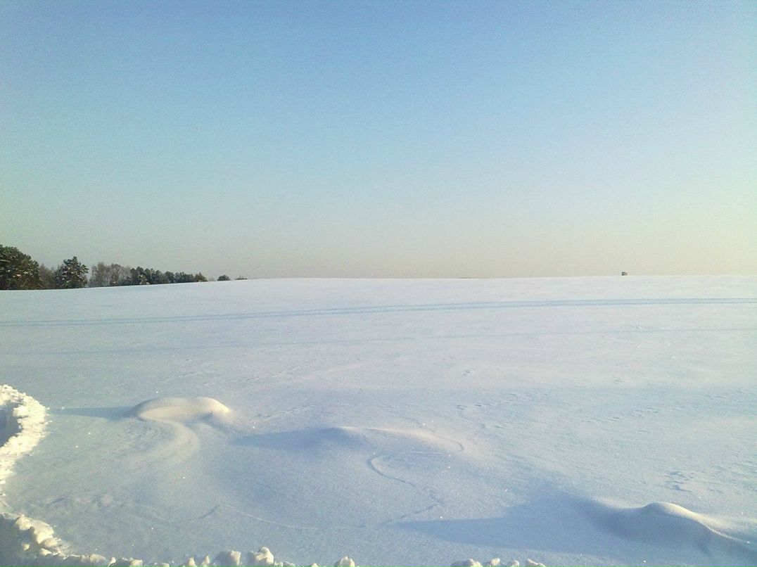 Владимир Матвеев | Минск