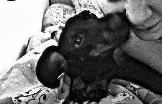 Ленка Божкова ♥ | Москва