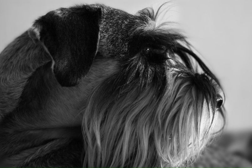 Елена Отрох | Смоленск