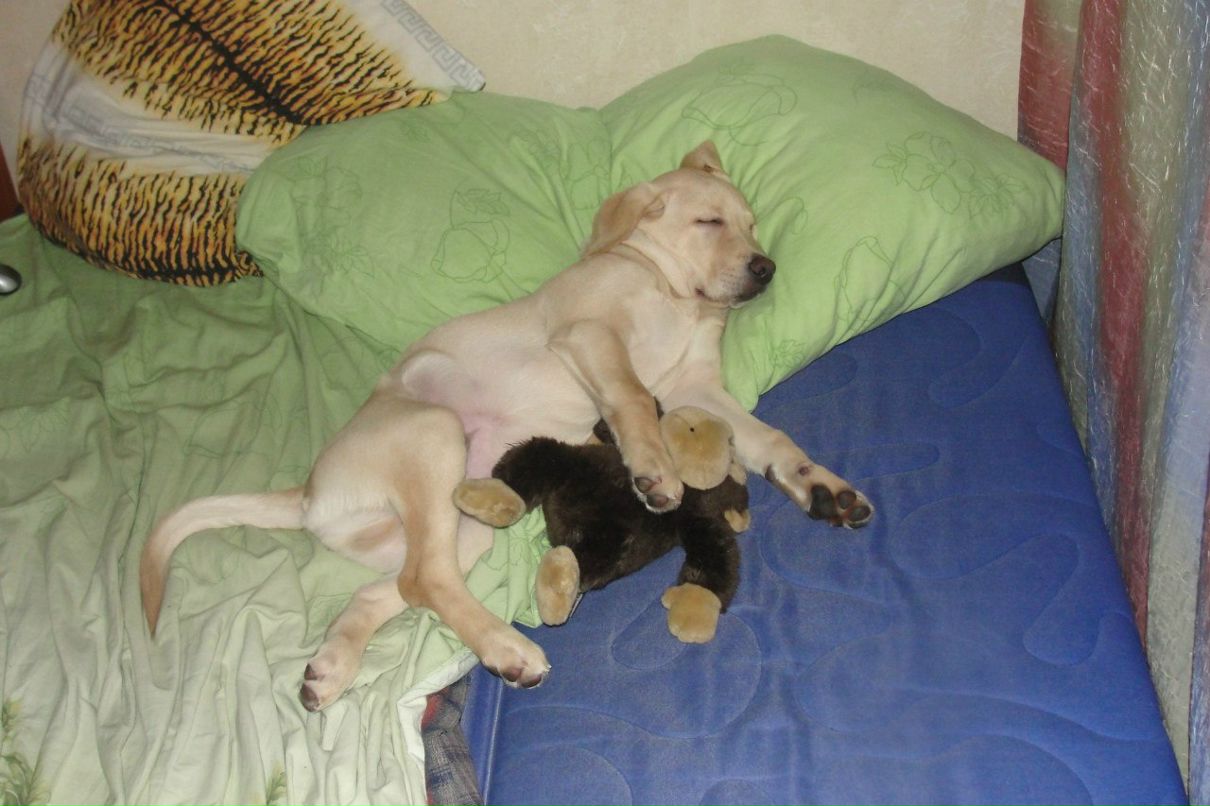 Евгения Наханькова | Санкт-Петербург