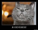 Фотография Богдановича Дениса