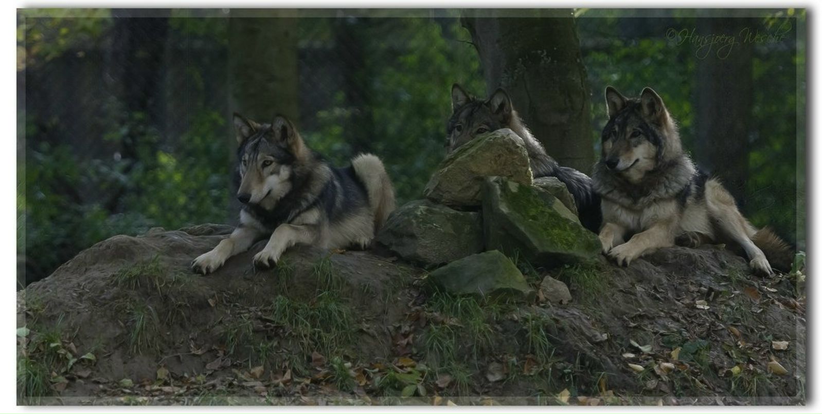 Евгений Прилепа ♥ Ирэна | Киев