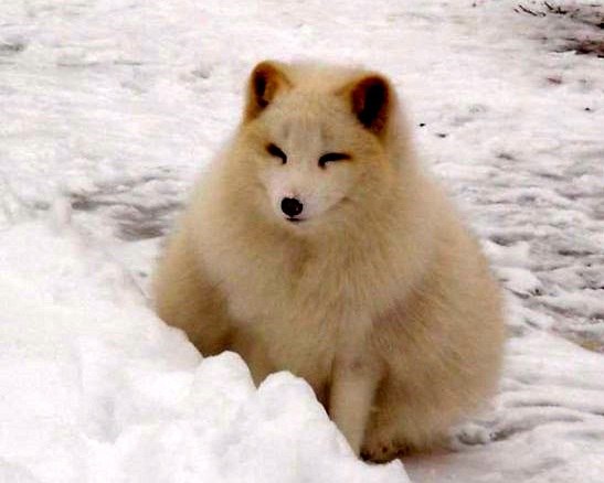 Дмитрий Мячин | Самара