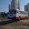 Аватар: Василий Βоронин