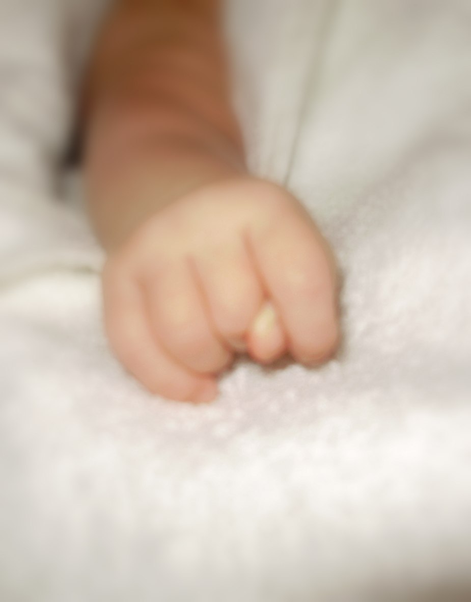 Юрий Голдобенко | Новосибирск