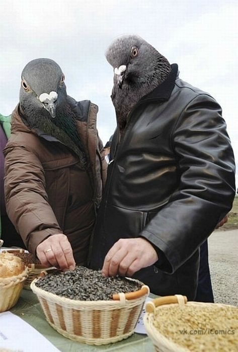 Марат Мардеев | Москва