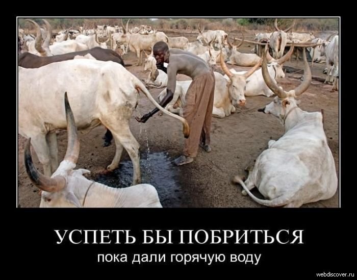 Евгений Лаппо (paukan) | Гатчина