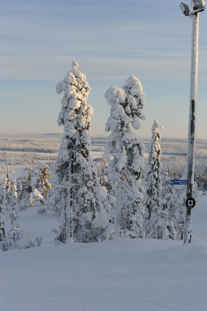 Вова Галайко | Москва