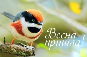 №30, Віталій Дудар, 30 лет, Кременец №30, Віталій Дудар, 30 лет, Кременец