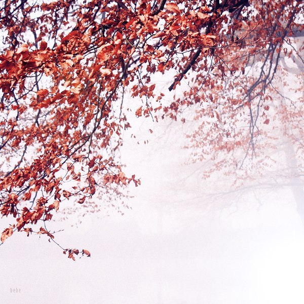 Лина Даль | Севастополь