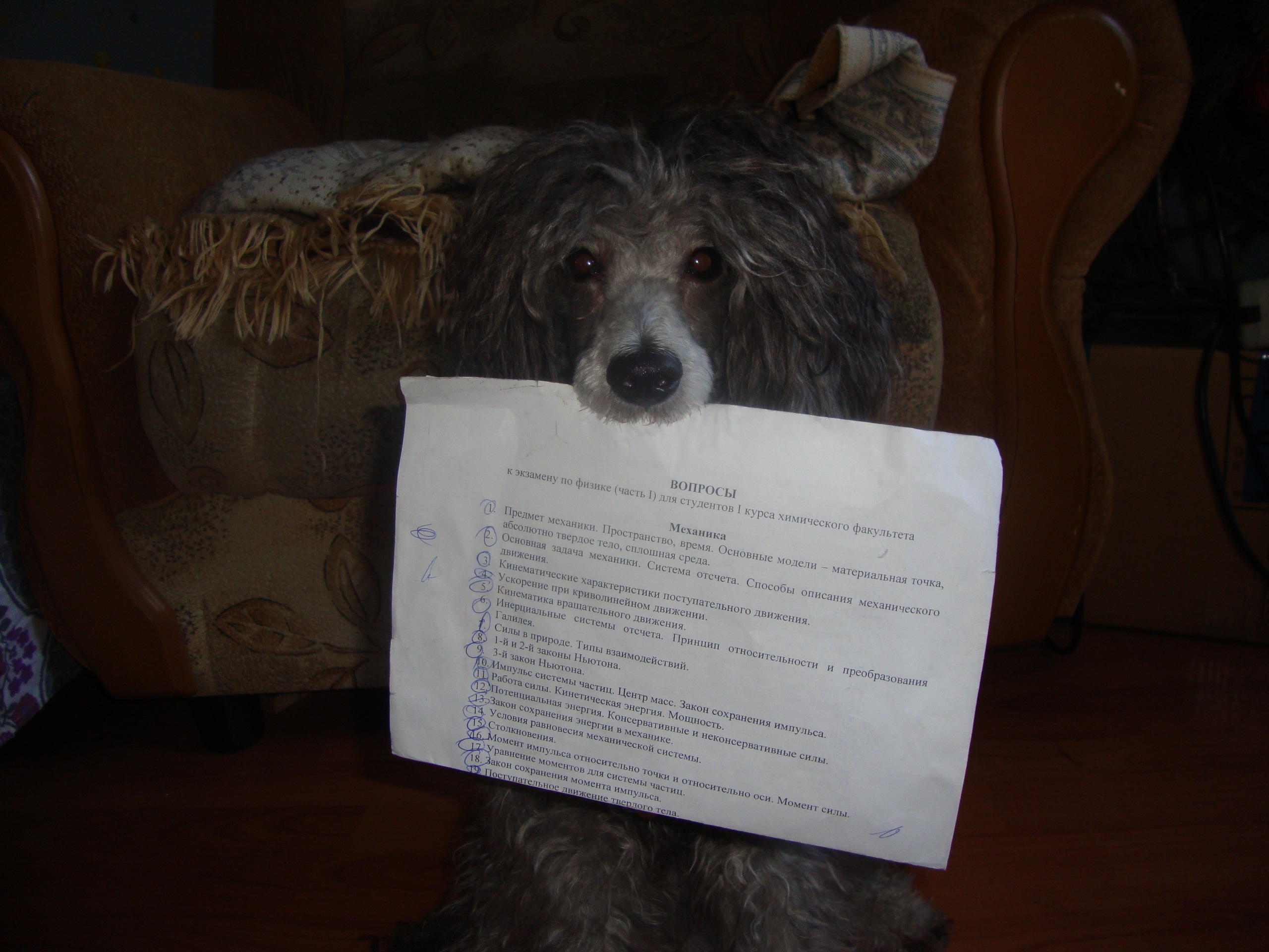 Фото профиля